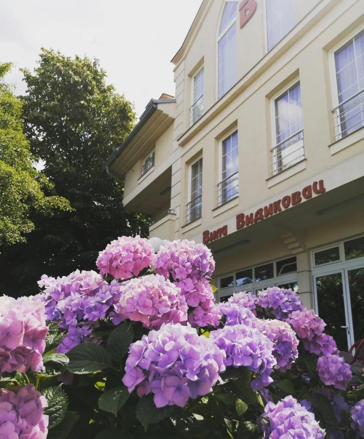 B&B Vila Vidikovac Arandelovac Zewnętrze zdjęcie