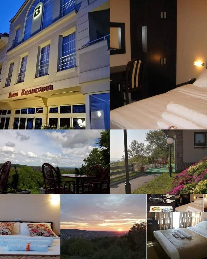 B&B Vila Vidikovac Arandelovac Zewnętrze zdjęcie